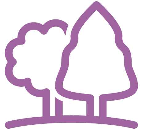 Community Garden