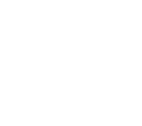 Periodic Newsletters