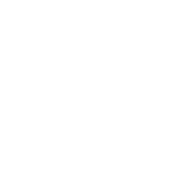 Subsidised trips and activities